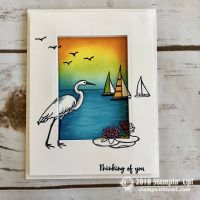 Lily Pad Lake Bundle