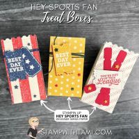 Sports Fan Treat Boxes Sports Fan Treat Boxes