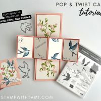 SOARING SWALLOWS POP & TWIST CARD SOARING SWALLOWS POP & TWIST CARD