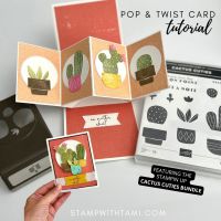 Cactus Cuties Pop & Twist Cactus Cuties Pop & Twist