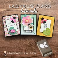 Ladybug Series Cards 1-3