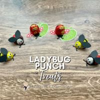Ladybug Series Treats Ladybug Series Treats