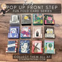 Ladybug Punch Series Video