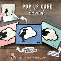 POP UP CARD SERIES 3-5 POP UP CARD SERIES 3-5