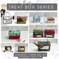 Tami's Stampin Up Treat Box Series