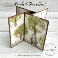 PINWHEEL TOWER SERIES CARD 6 PINWHEEL TOWER SERIES CARD 6