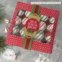 PARTY CRACKER SERIES #7 PARTY CRACKER SERIES #7