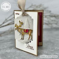 POP OUT SWING CARD #7 POP OUT SWING CARD #7