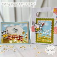 RAIN OR SHINE SERIES #6 & 7 RAIN OR SHINE SERIES #6 & 7