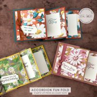 ACCORDION CARDS 1-3 ACCORDION CARDS 1-3