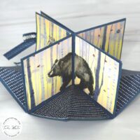 WILDLIFE WONDER CAROUSEL SERIES #2 WILDLIFE WONDER CAROUSEL SERIES #2