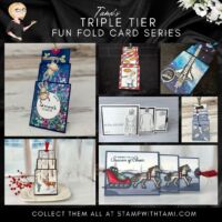 TRIPLE TIER SERIES VIDEO TRIPLE TIER SERIES VIDEO