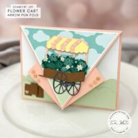 ARROW FOLD SERIES #4 ARROW FOLD SERIES #4