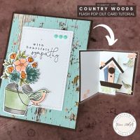 FLASH POP OUT CARD SERIES #7 FLASH POP OUT CARD SERIES #7