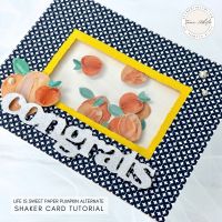 Life is Sweet Shaker Card Life is Sweet Shaker Card