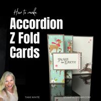 ACCORDION Z FOLD SERIES #1 ACCORDION Z FOLD SERIES #1