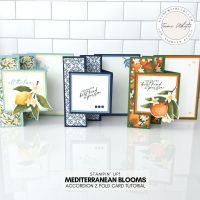 ACCORDION Z FOLD #5 ACCORDION Z FOLD #5