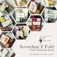 ACCORDION Z FOLD VIDEO ACCORDION Z FOLD VIDEO