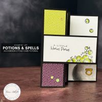 ACCORDION Z FOLD TUTORIAL #8 ACCORDION Z FOLD TUTORIAL #8