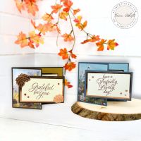 INSIDE OUT FLIP CARD SERIES #7 INSIDE OUT FLIP CARD SERIES #7