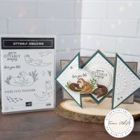 STAR GATEFOLD SERIES #6 STAR GATEFOLD SERIES #6