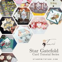 STAR GATEFOLD VIDEO STAR GATEFOLD VIDEO