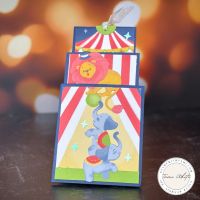 CIRCUS CELEBRATION TRIPLE TIER