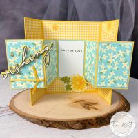 DOUBLE ACCORDION GATEFOLD SERIES #2 DOUBLE ACCORDION GATEFOLD SERIES #2