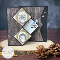 POP OUT Z FOLD SERIES #2 POP OUT Z FOLD SERIES #2