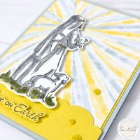 SHEPHERD'S CARE SUNBURST SERIES SHEPHERD'S CARE SUNBURST SERIES