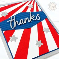 STARS & STRIPES STARBURST SERIES STARS & STRIPES STARBURST SERIES