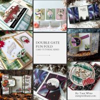 DOUBLE GATEFOLD CARD SERIES VIDEO DOUBLE GATEFOLD CARD SERIES VIDEO